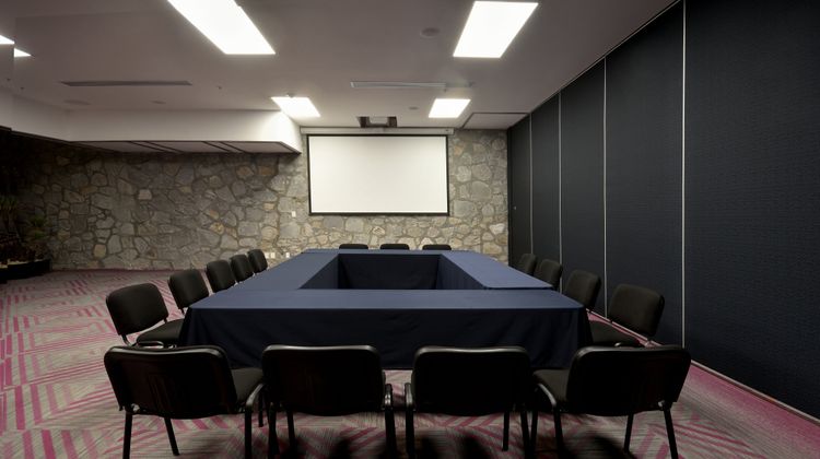 Holiday Inn Express Pachuca Meeting