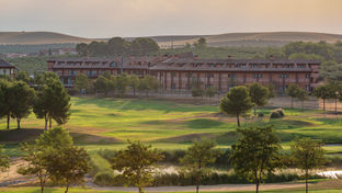 Exe Layos Golf