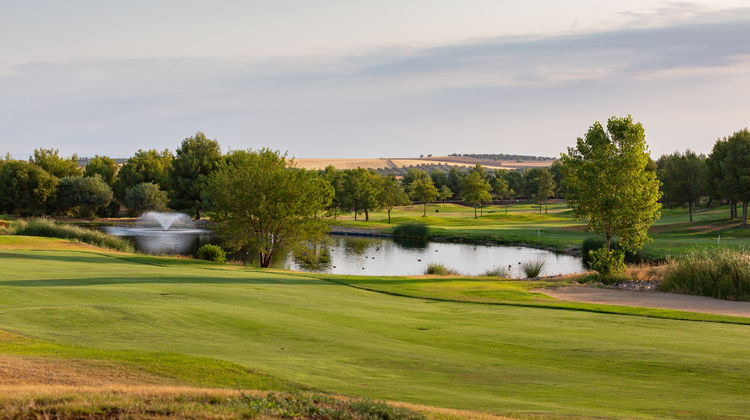 Exe Layos Golf Exterior