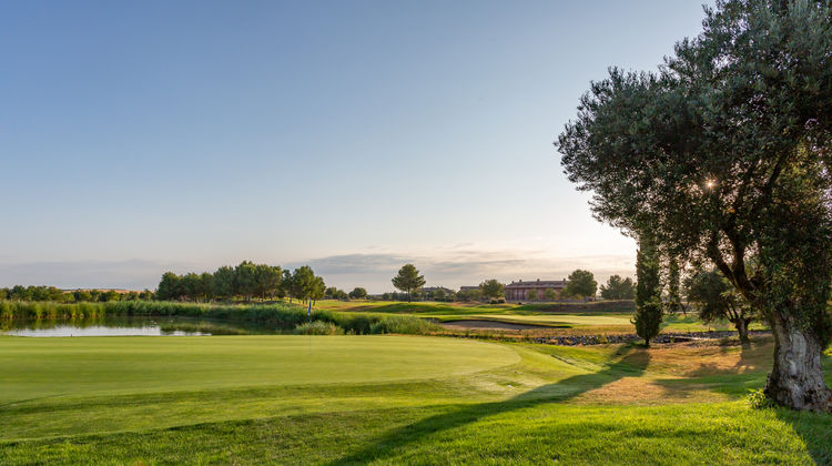 Exe Layos Golf Exterior