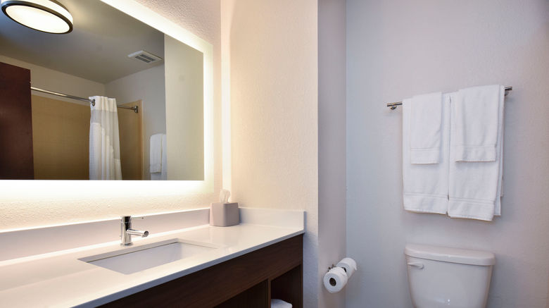 <b>Holiday Inn Express & Suites Selma Room</b>. Images powered by <a href="https://www.leonardoworldwide.com/" title="Leonardo Worldwide" target="_blank">Leonardo</a>.