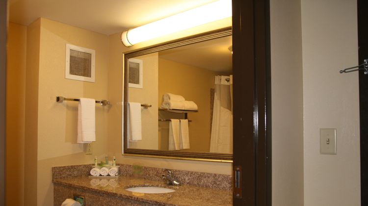 Holiday Inn Express Hotel & Suites Room