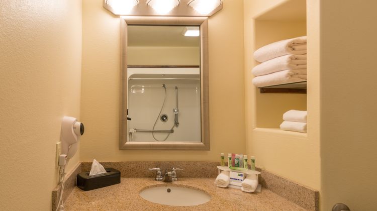 Holiday Inn Express Hotel & Suites Room