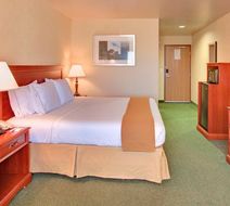 Holiday Inn Express Hotel & Suites Room