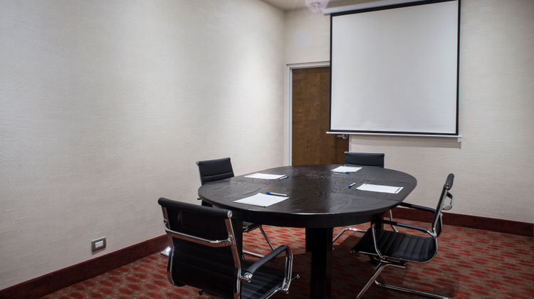 Holiday Inn Express & Suites Juventud Meeting