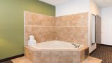 Holiday Inn Express Suite