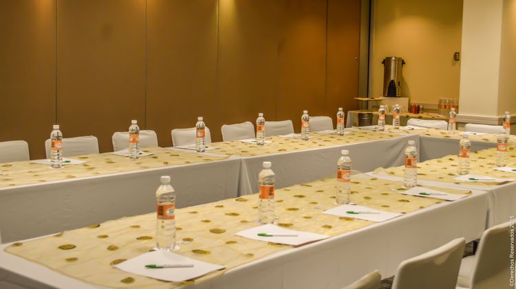 Holiday Inn Centro de Convenciones Meeting