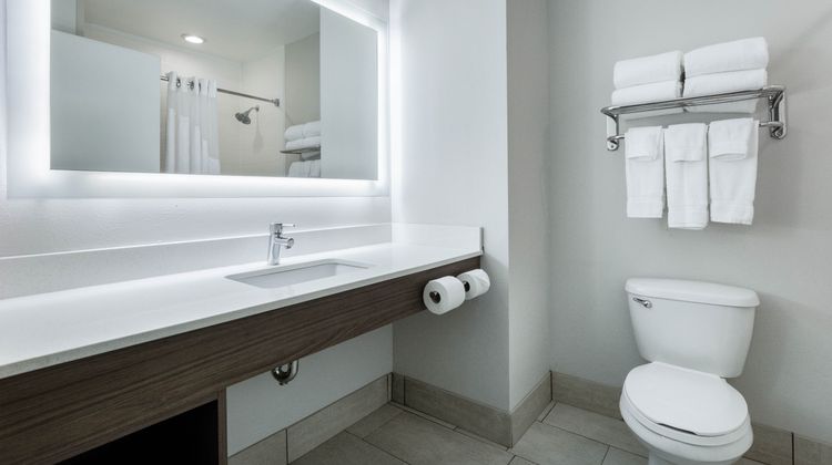 Holiday Inn Express Hotel & Suites Room