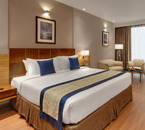 UK 27 The Fern Belagavi Room