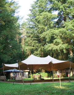 Fletcher Hotel-Restaurant Mooi Veluwe