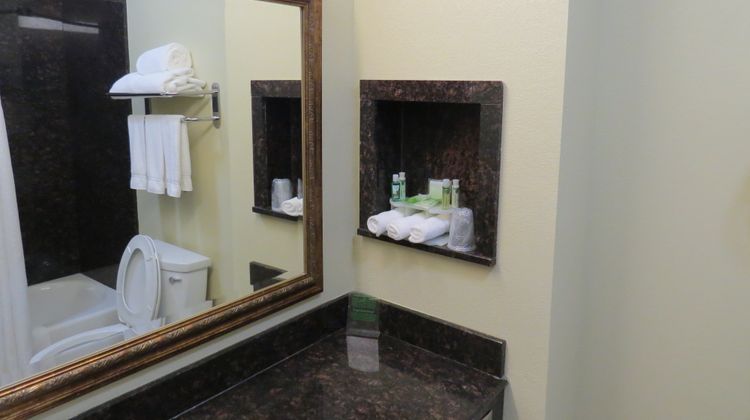 Holiday Inn Express Hotel & Suites Room