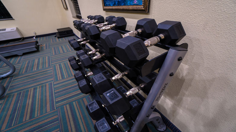 <b>Holiday Inn Express Hotel & Suites Health Club</b>. Images powered by <a href="https://www.leonardoworldwide.com/" title="Leonardo Worldwide" target="_blank">Leonardo</a>.