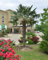 Holiday Inn Montgomery Airport South