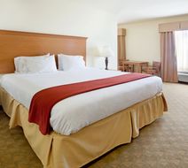 Holiday Inn Express & Suites Zapata Room