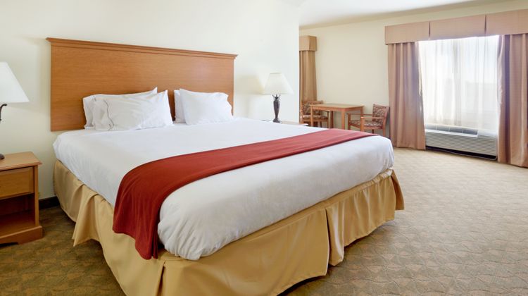 Holiday Inn Express & Suites Zapata Room