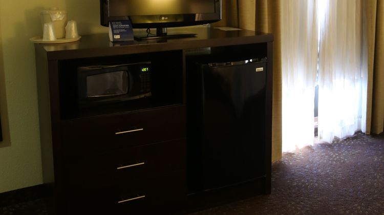 Holiday Inn Express Hotel & Suites Room