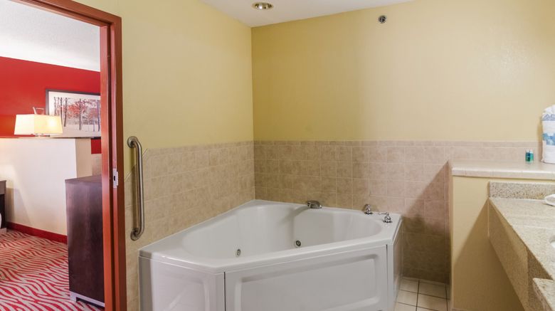 <b>Holiday Inn Express Hotel/Suites Vinita Room</b>. Images powered by <a href="https://www.leonardoworldwide.com/" title="Leonardo Worldwide" target="_blank">Leonardo</a>.