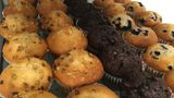 <b>Holiday Inn Express & Suites Oswego Restaurant</b>. Images powered by <a href="https://www.leonardoworldwide.com/" title="Leonardo Worldwide" target="_blank">Leonardo</a>.