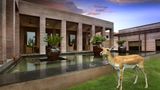 The LaLiT Mangar Other