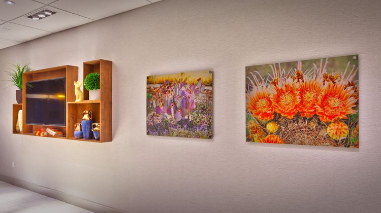 Holiday Inn Express Hotel/Stes Phoenix W Lobby