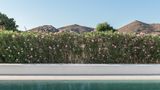 <b>Parilio Suite</b>. Images powered by <a href="https://www.leonardoworldwide.com/" title="Leonardo Worldwide" target="_blank">Leonardo</a>.