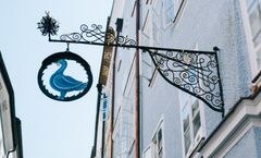 Blaue Gans Arthotel
