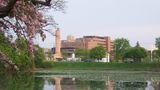 Candlewood Suites Sayre Other