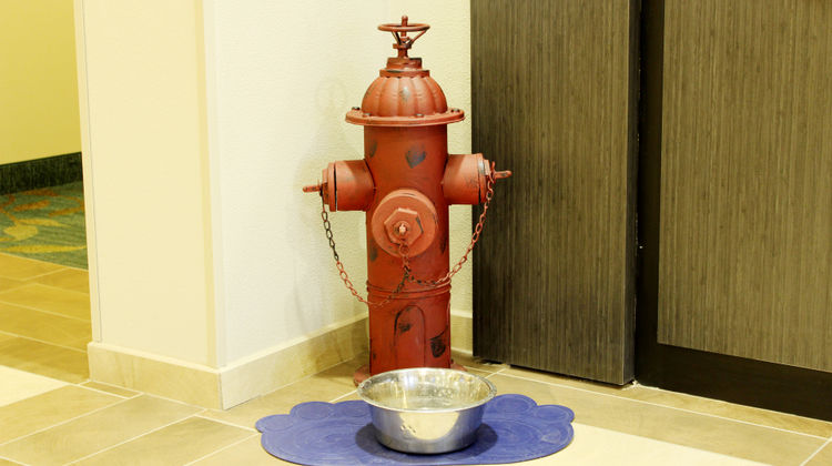 Candlewood Suites Sioux City Lobby