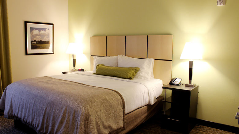 <b>Candlewood Suites Sioux City Room</b>. Images powered by <a href="https://www.leonardoworldwide.com/" title="Leonardo Worldwide" target="_blank">Leonardo</a>.