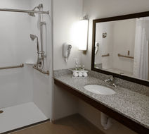 Holiday Inn Express Omaha South Ralston Room