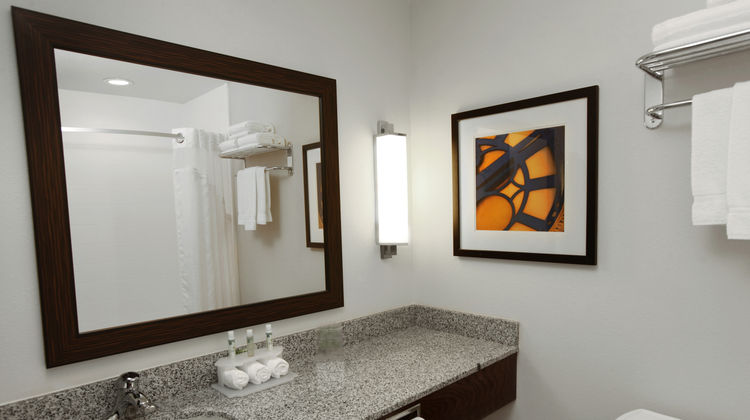 Holiday Inn Express Omaha South Ralston Room