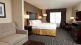 <b>Holiday Inn Express Omaha South Ralston Suite</b>. Images powered by <a href="https://www.leonardoworldwide.com/" title="Leonardo Worldwide" target="_blank">Leonardo</a>.