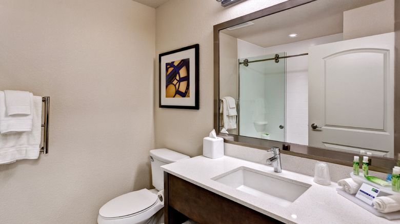 <b>Holiday Inn Express & Suites Great Bend Room</b>. Images powered by <a href="https://www.leonardoworldwide.com/" title="Leonardo Worldwide" target="_blank">Leonardo</a>.
