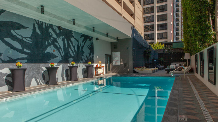 Kimpton Hotel Palomar Beverly Hills Pool