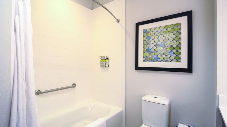 Holiday Inn Express USF-Busch Gardens Room