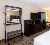 Holiday Inn St. Louis Airport West Room
