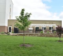 Candlewood Suites Kansas City Exterior