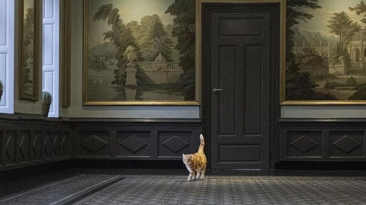Buitenplaats Vaeshartelt Other