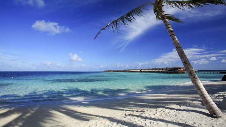 <b>Centara Ras Fushi Resort & Spa Beach</b>. Images powered by <a href="https://www.leonardoworldwide.com/" title="Leonardo Worldwide" target="_blank">Leonardo</a>.