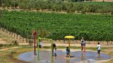 Val Du Charron Guest House & Wine Estate Spa
