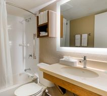 Staybridge Suites Royale Parc Room