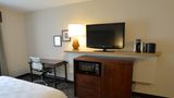 Holiday Inn Lakeville Room