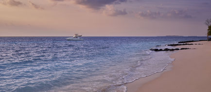 Vivanta by Taj-Coral Reef Exterior