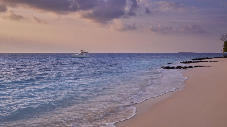 Vivanta by Taj-Coral Reef Exterior
