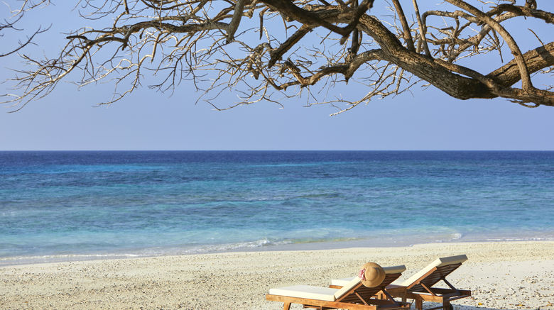 <b>Vivanta by Taj-Coral Reef Beach</b>. Images powered by <a href="https://www.leonardoworldwide.com/" title="Leonardo Worldwide" target="_blank">Leonardo</a>.