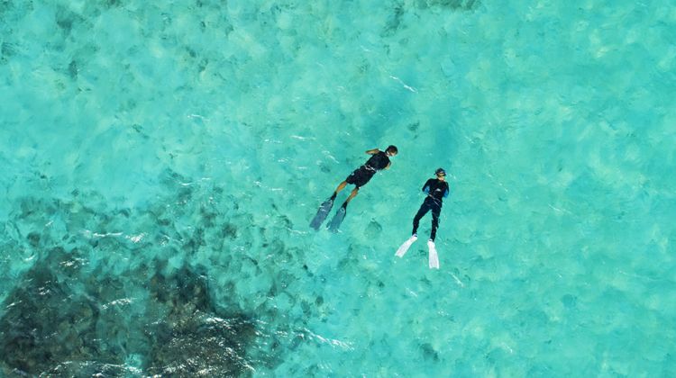 Vivanta by Taj-Coral Reef Other