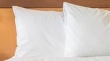 <b>Holiday Inn Jonesboro Room</b>. Images powered by <a href="https://www.leonardoworldwide.com/" title="Leonardo Worldwide" target="_blank">Leonardo</a>.