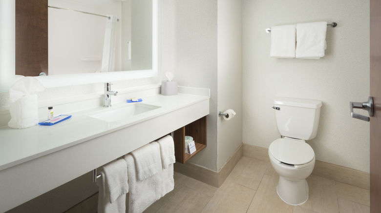 <b>Holiday Inn Express Chattanooga Downtown Room</b>. Images powered by <a href="https://www.leonardoworldwide.com/" title="Leonardo Worldwide" target="_blank">Leonardo</a>.