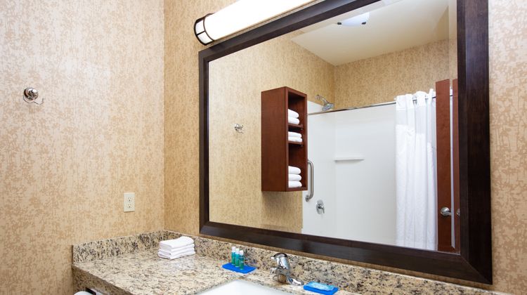 Holiday Inn Express Hotel & Suites Room