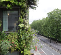 The Athenaeum Hotel & Residences Exterior